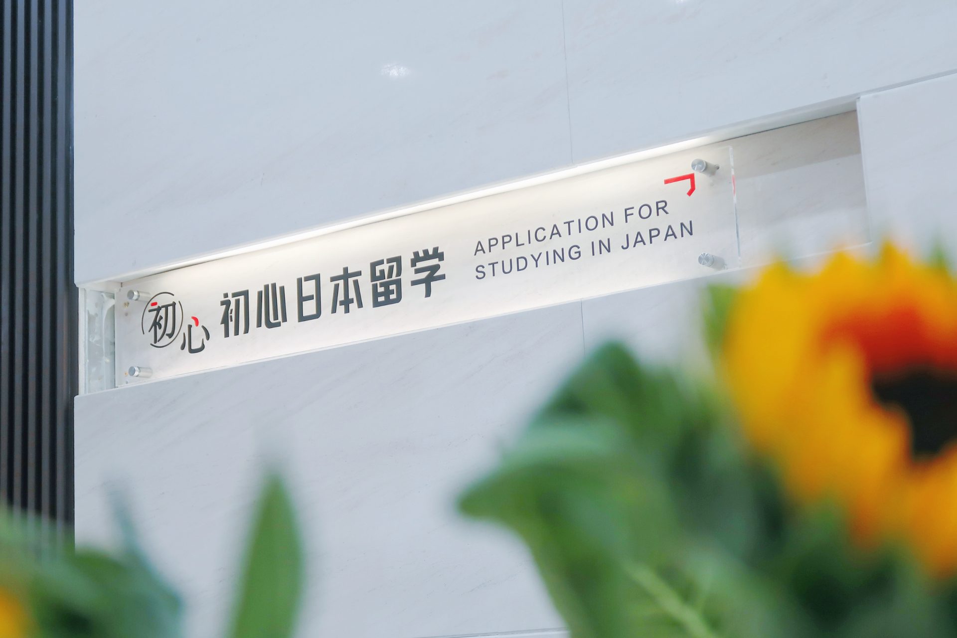 高中毕业想去日本考好大学？从零开始的完整规划路线